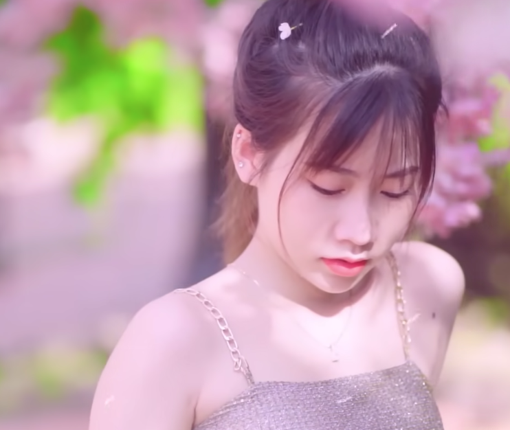 lĩnh vực hoạt động